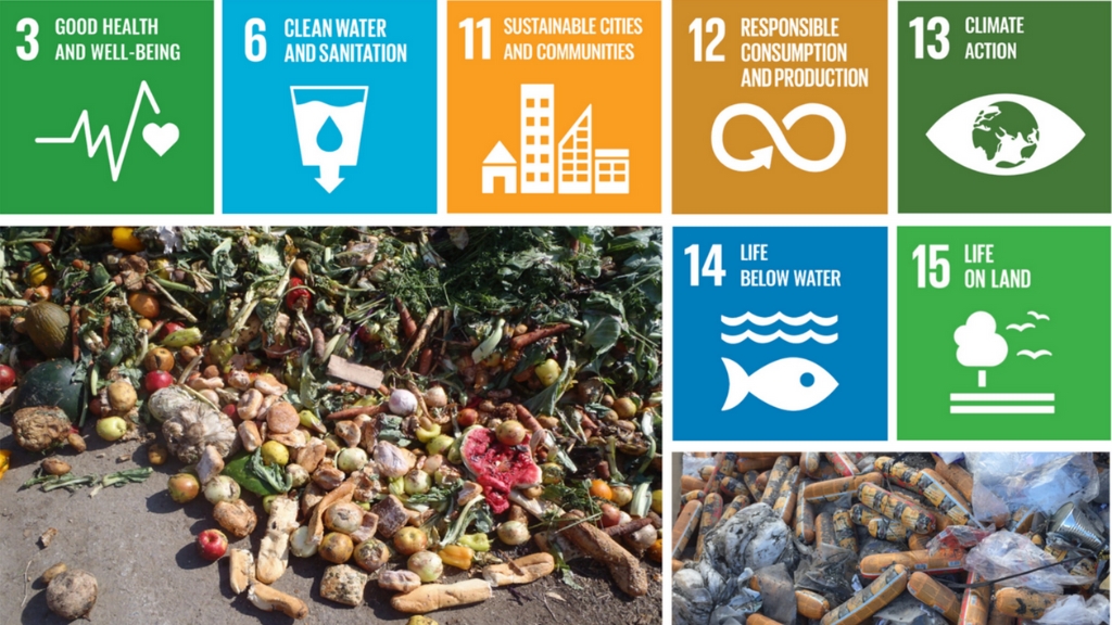 Food Waste Sorting: Odborný článek v časopise Sustainable Development